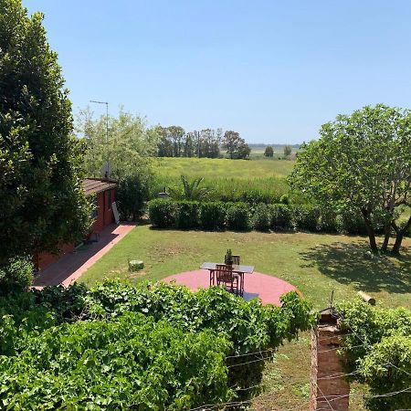 Вилла Casale Degli Ulivi Maccarese Le Cerquete Экстерьер фото