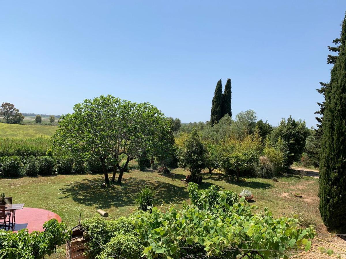 Вилла Casale Degli Ulivi Maccarese Le Cerquete Экстерьер фото