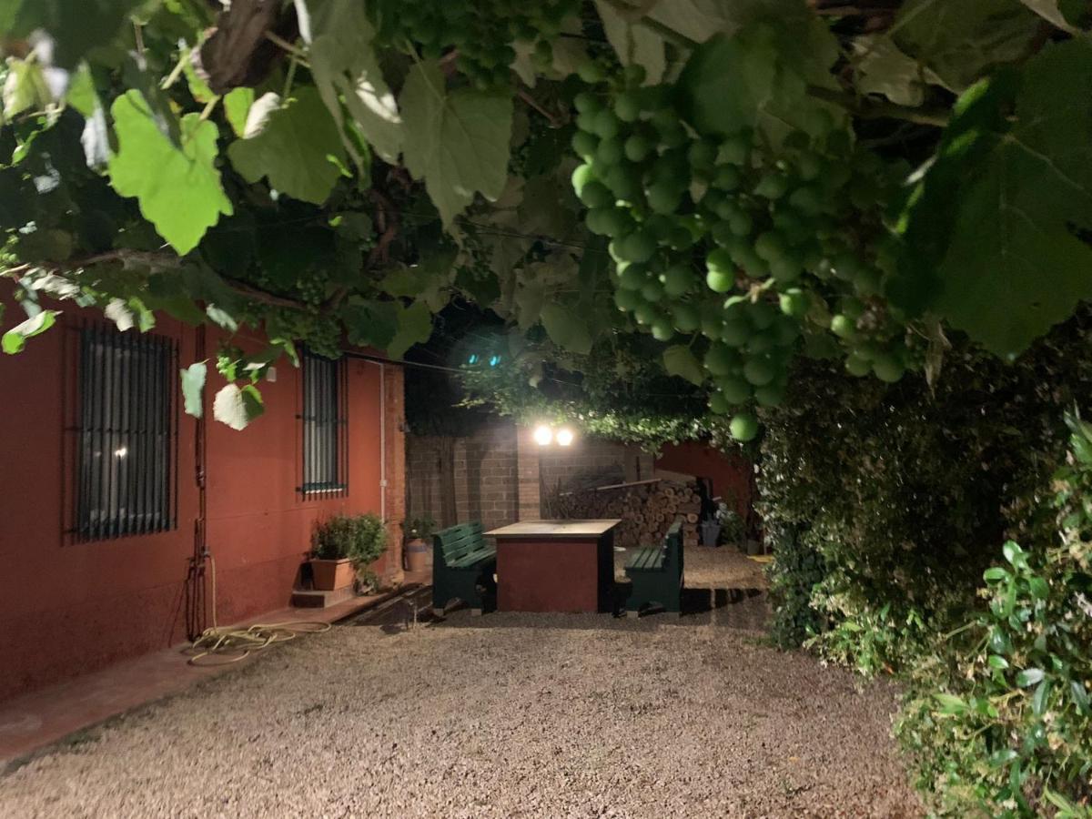 Вилла Casale Degli Ulivi Maccarese Le Cerquete Экстерьер фото
